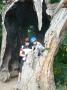gal/2011/20 Trebon/_thb_P1100437.JPG